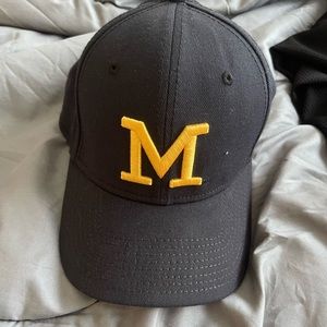 Michigan hat
